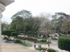 centralpark-9