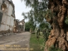 LaRecoleccion-35