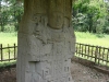 quirigua-52