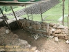 quirigua-89
