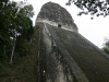 tikal-101