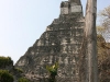 tikal-12