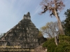 tikal-13