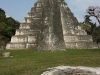 tikal-20