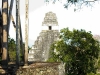 tikal-26