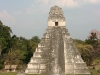 tikal-32