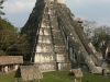 tikal-52