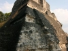 tikal-53