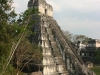 tikal-56