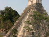 tikal-62