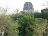 tikal-63