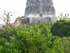 tikal-68